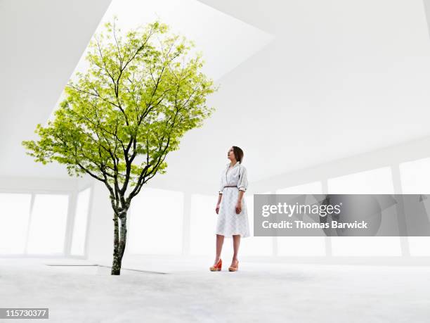 woman looking up at tree growing out of stairwell - break through concept stockfoto's en -beelden