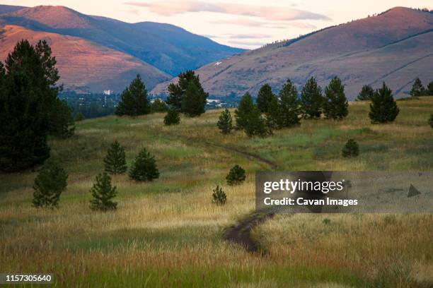 a trail leads towards missoula, montana at blue mountain. - missoula stock pictures, royalty-free photos & images