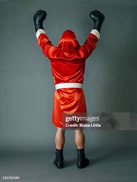 boxer - boksjas stockfoto's en -beelden