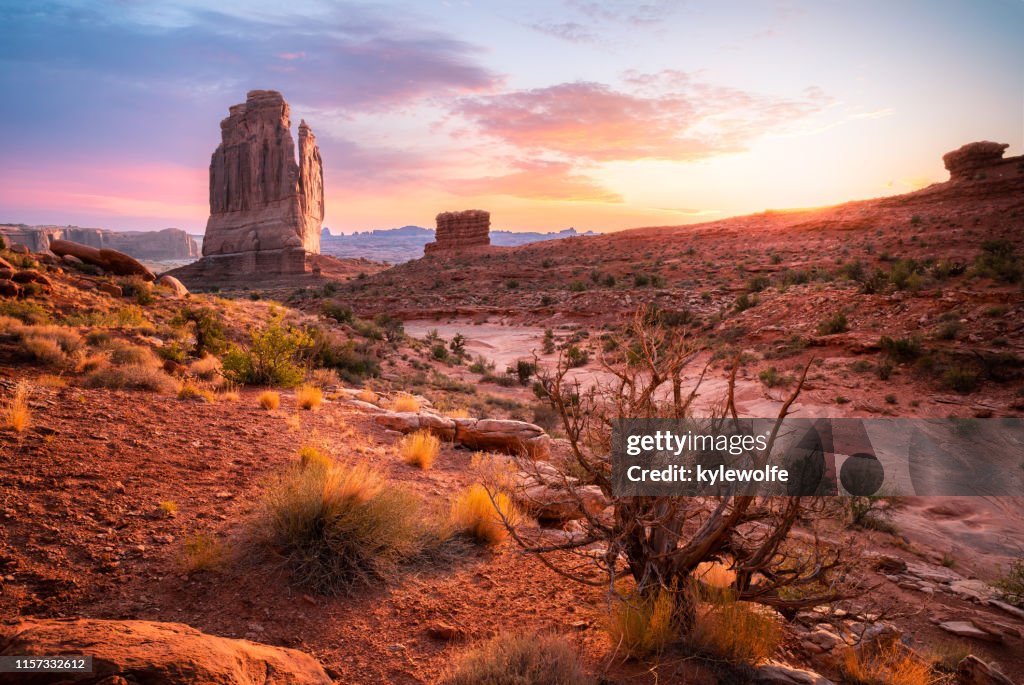 The Organ rock formation and Park Avenue Trail, Arches National Park, Utah, United States