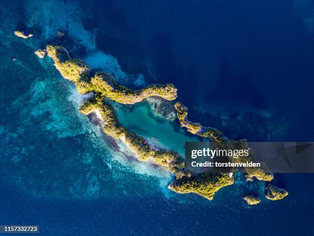 aerial view of raja ampat, west papua, indonesia - raja ampat islands bildbanksfoton och bilder