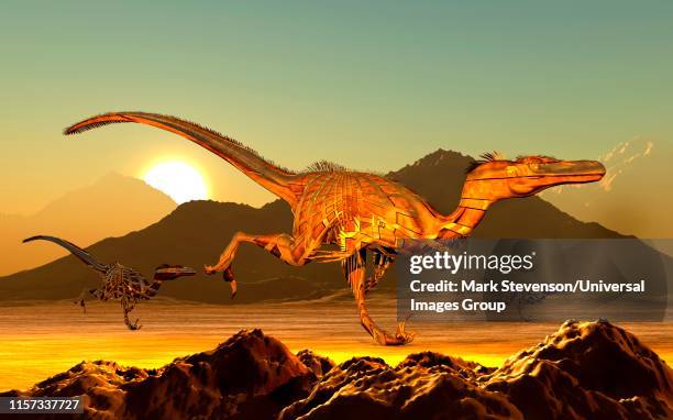 robotic veloceraptors - cyber predator stock illustrations