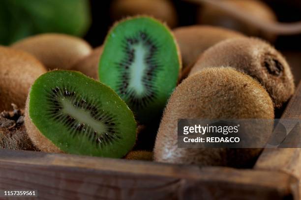 Kiwi fruits. Trentino. Italy. Europe.