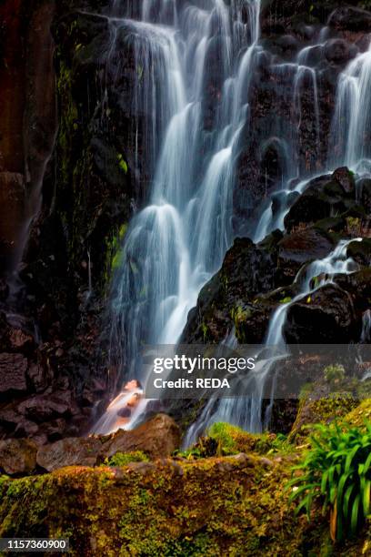 Azoxer Nordeste Azores Photos and Premium High Res Pictures - Getty Images