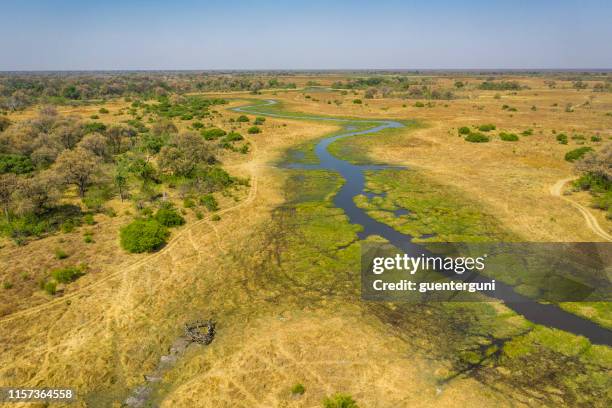 khwai river, moremi in okavango delta, botswana - khwai river stock pictures, royalty-free photos & images