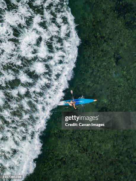 young woman on stand up paddling board - sanur bildbanksfoton och bilder