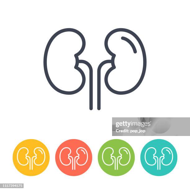 nieren nephrologie icon - dünne linie vektor. gesundheit und medizin - kidneys stock-grafiken, -clipart, -cartoons und -symbole