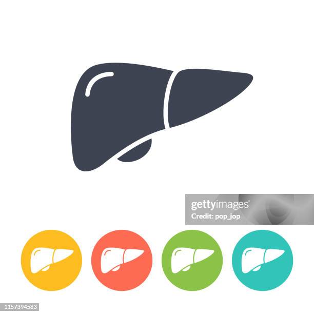 liver icon - bold solid black vector. health and medicine - gall bladder stock illustrations
