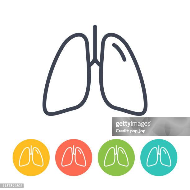 illustrazioni stock, clip art, cartoni animati e icone di tendenza di icona polmoni - vettore linea sottile. salute e medicina - polmone