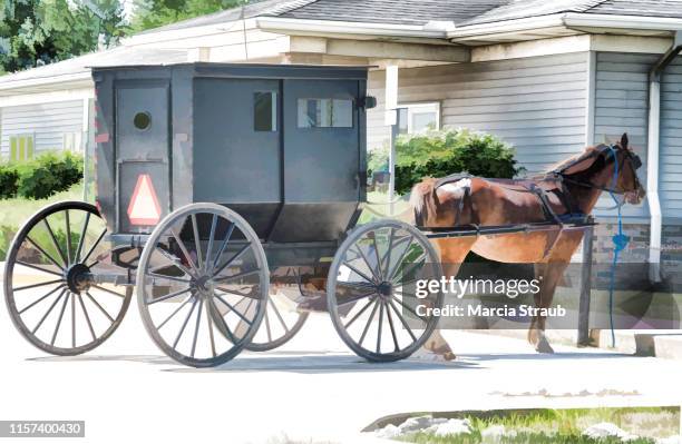 painterly amish horse standing with buggy - amish buggy stock pictures, royalty-free photos & images