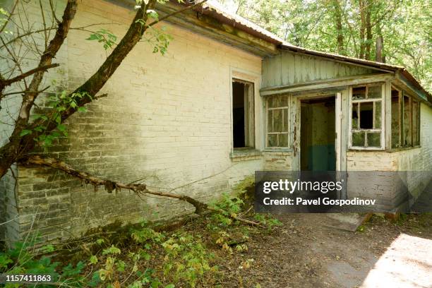 abandoned houses and overgrown terrain in the village of zalesye, chernobyl exclusion zone, ukraine - chernobyl 1986 stock pictures, royalty-free photos & images