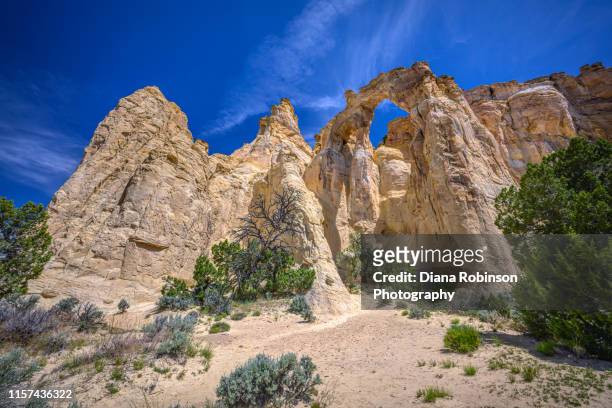 view of grosvenor arch, a remote sandstone double arch located on the cottonwood canyon road in grand staircase-escalante national monument in southern utah - grand staircase escalante national monument stock-fotos und bilder