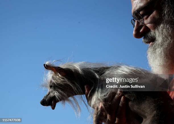 Contestant walks off stage during the World's Ugliest Dog contest at the Marin-Sonoma County Fair on June 21, 2019 in Petaluma, California. A dog...