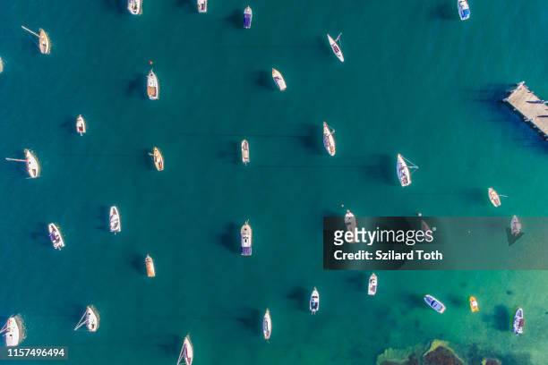 aerial photo of sydney - watsons bay boats harbour - sydney ocean drone stockfoto's en -beelden