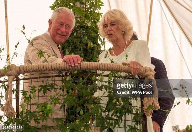 Prince Charles, Prince of Wales and Camilla, Duchess of Cornwall during a visit to Sandringham Flower Show 2019 at Sandringham House on July 24, 2019...