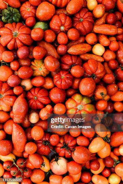 overhead view of fresh red tomatoes on table - tamato photos et images de collection