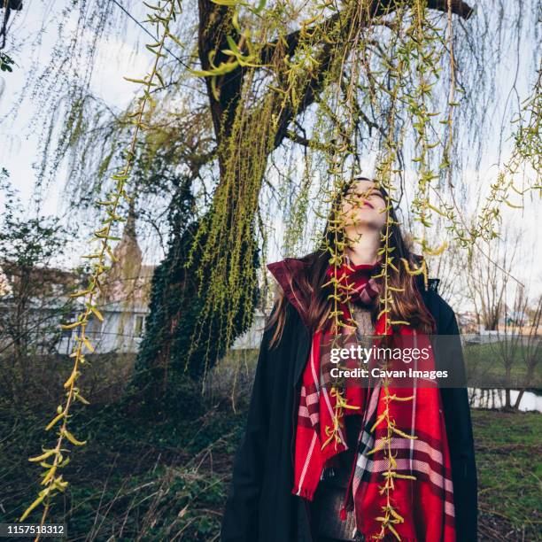 woman in warm clothes standing under willow in first day of spring. - first day of spring fotografías e imágenes de stock