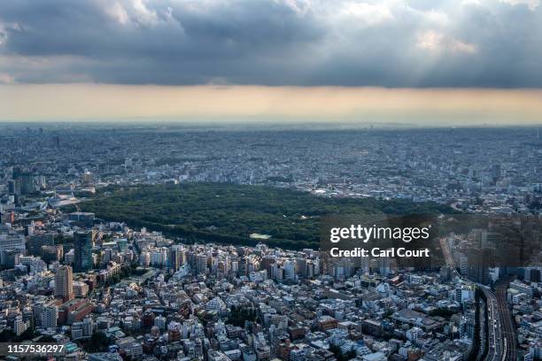 Yoyogi Park is pictured on July 24, 2019 in Tokyo, Japan.