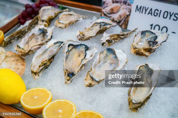 fresh opened oyster with sliced lemon offered as top view on crushed ice - seafood platter stockfoto's en -beelden