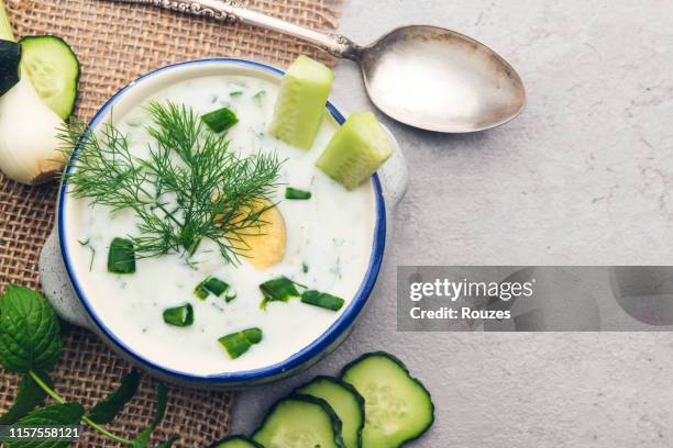 soupe froide de concombre - cucumber photos et images de collection