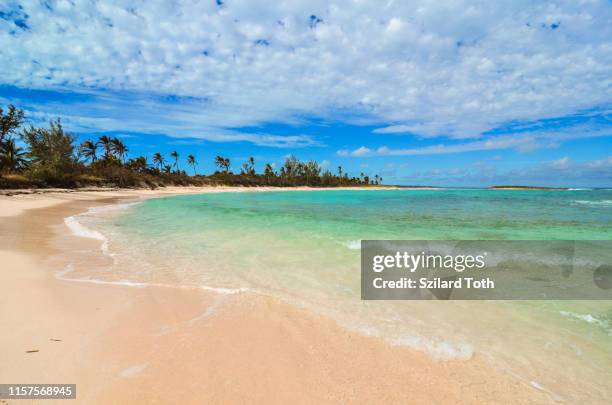 deserted palm beach on eleuthera (bahamas) - bahamas fotografías e imágenes de stock