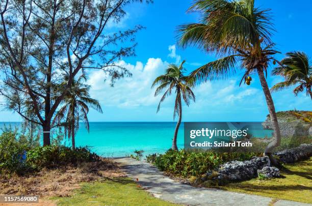 walking path to a tropical beach on the island eleuthera on the bahamas - nassau beach stock pictures, royalty-free photos & images