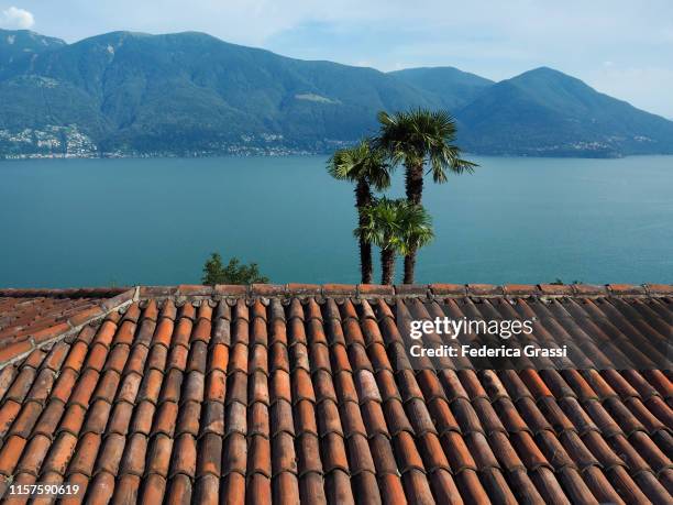 traditional clay roof tiles, palm trees and lake maggiore - palm tree border stock pictures, royalty-free photos & images