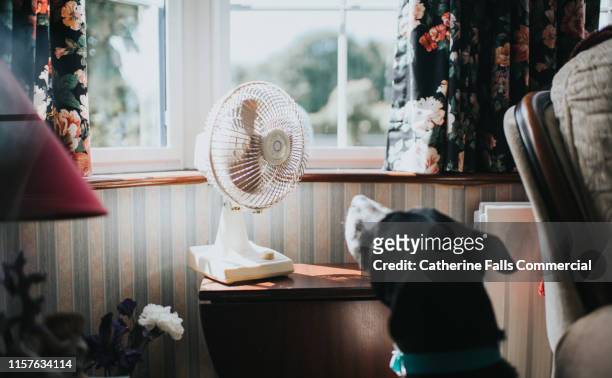 hot dog - electric fan stock pictures, royalty-free photos & images