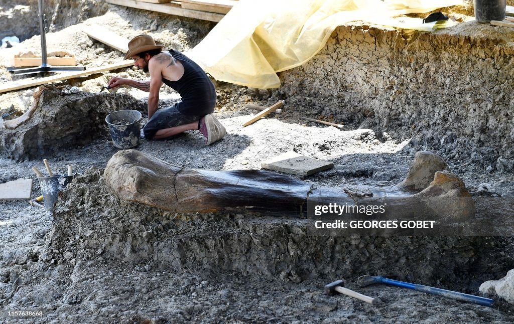 FRANCE-PALAEONTOLOGY-DINOSAUR-SAUROPOD