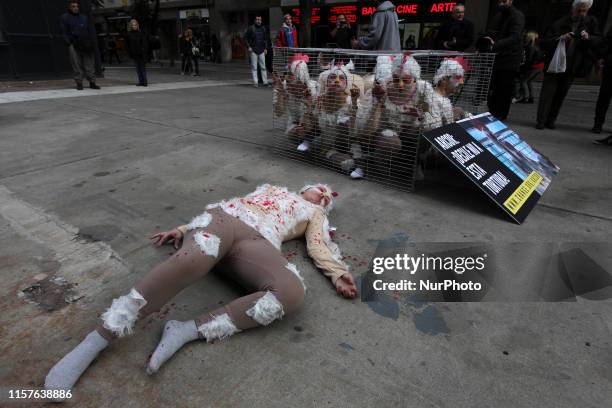 Animal activists protest in Buenos Aires, Argentina, on 24 July 2019, against the use of cages for chickens in the egg production industry in...