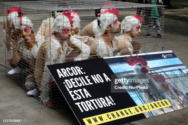 Animal activists protest in Buenos Aires, Argentina, on 24 July 2019, against the use of cages for chickens in the egg production industry in...