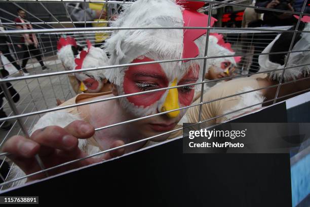 Animal activists protest in Buenos Aires, Argentina, on 24 July 2019, against the use of cages for chickens in the egg production industry in...