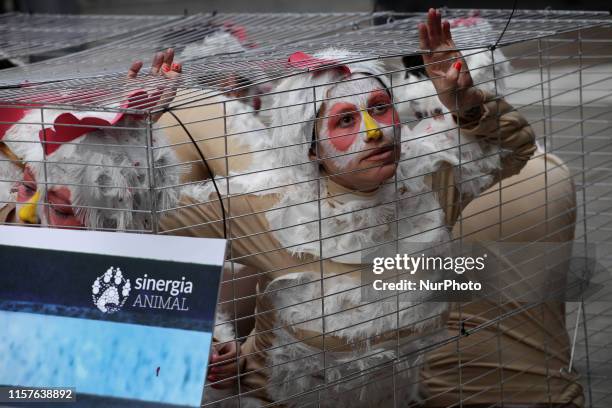 Animal activists protest in Buenos Aires, Argentina, on 24 July 2019, against the use of cages for chickens in the egg production industry in...