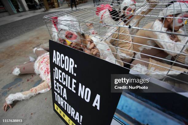 Animal activists protest in Buenos Aires, Argentina, on 24 July 2019, against the use of cages for chickens in the egg production industry in...