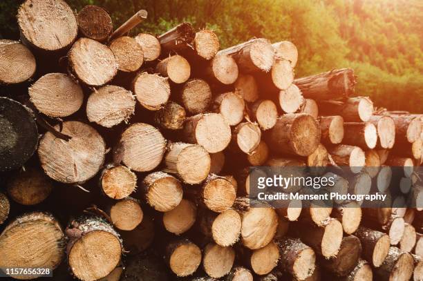 log wood background - legna da ardere foto e immagini stock