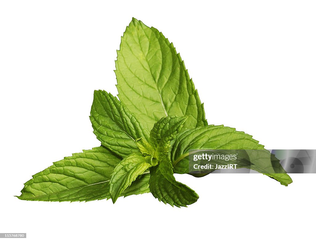 Fresh mint leaves isolated on a white background