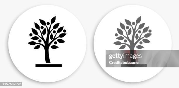 growing tree black and white round icon - tree icon stock illustrations