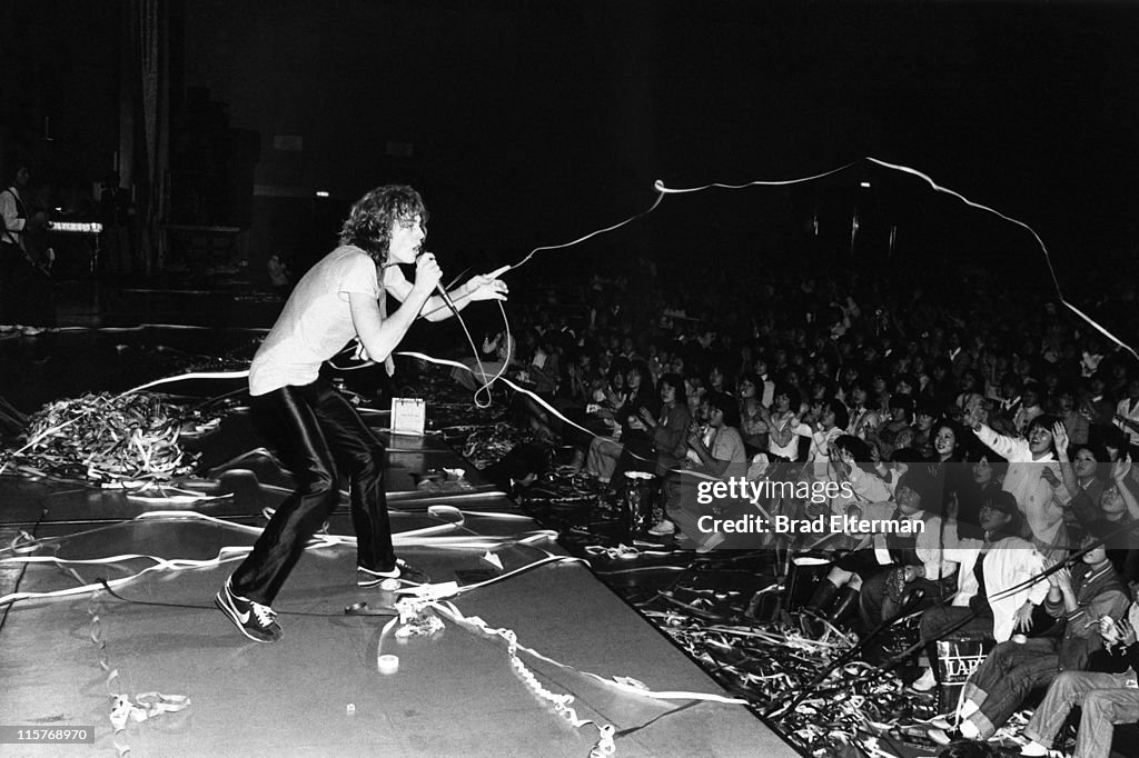 Brad Elterman Archive