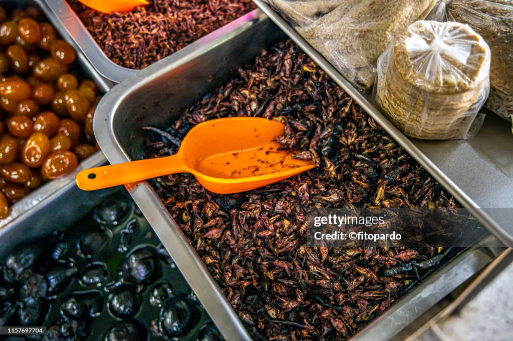 Edible Mexican Chapulines (grasshoppers)