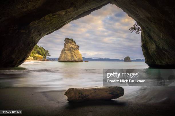cathedral cove, new zealand - cathedral cove stock pictures, royalty-free photos & images