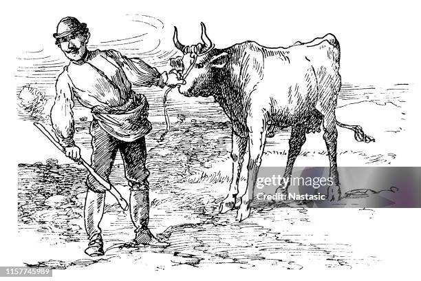 farmer with ox - ox cart stock illustrations