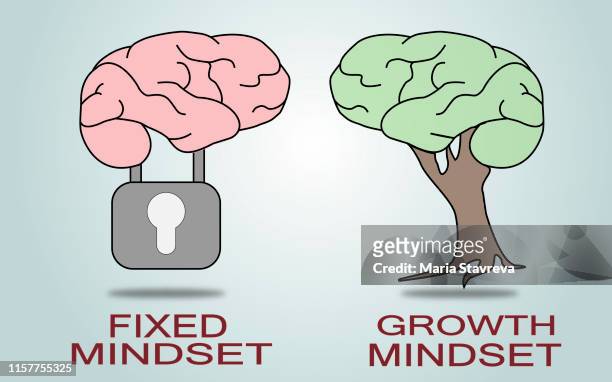 fixed mindset vs growth mindset.vector - atitude stock illustrations