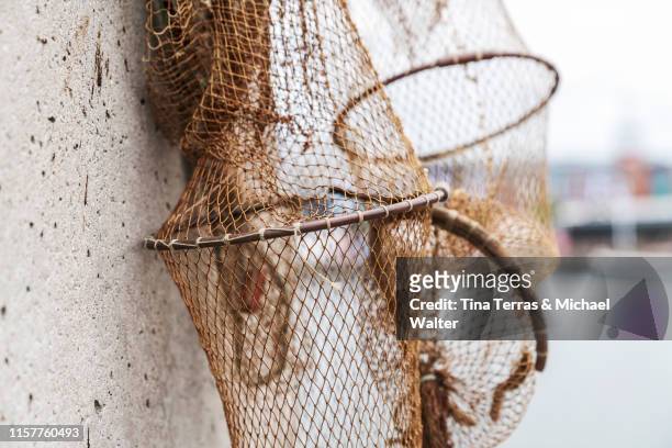 a fishing net hangs on a wall to dry - fang stock-fotos und bilder