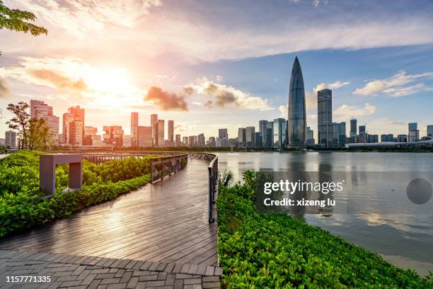 shenzhen public park sunset - shenzhen 個照片及圖片檔