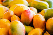 The mango is a citrus fruit that grows in the Intertropical Zone and is fleshy and sweet pulp. It stands out among its main characteristics its good taste and variety.