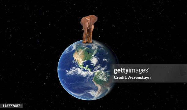 574 Animal Planet Elephant Photos and Premium High Res Pictures - Getty Images 574 Animal Planet Elephant Photos and Premium High Res Pictures - Getty Images