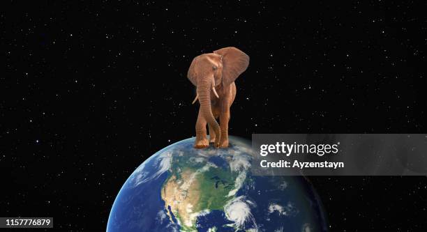 574 Animal Planet Elephant Photos and Premium High Res Pictures - Getty Images 574 Animal Planet Elephant Photos and Premium High Res Pictures - Getty Images
