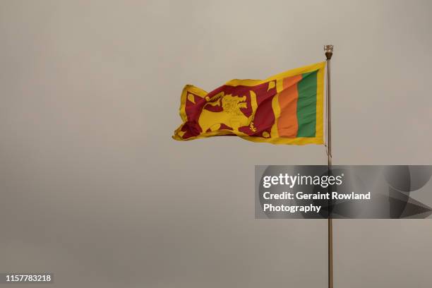 flag of sri lanka - sri lankan flag stock pictures, royalty-free photos & images