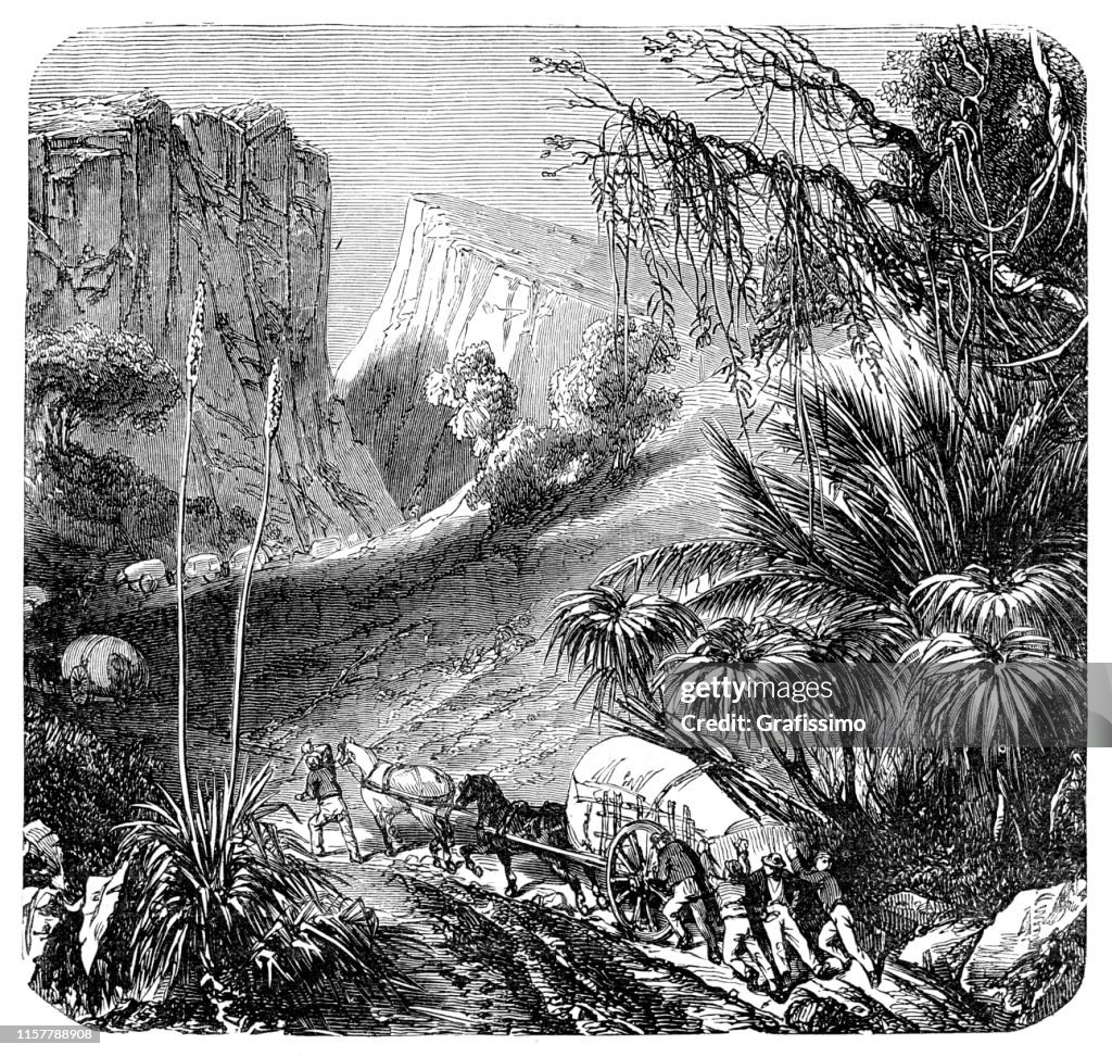 Explorer in the Blue Mountains in Australia illustration 1887