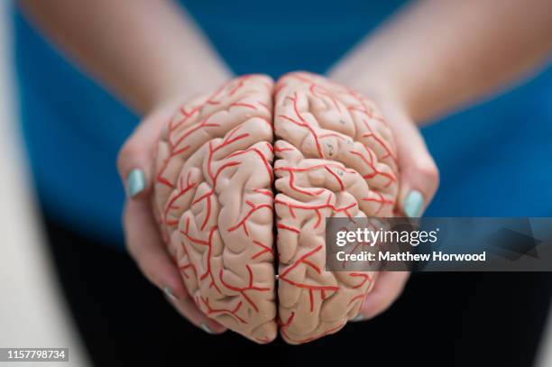 Woman holds a model of a human brain in her hands on June 1, 2019 in Cardiff, United Kingdom.